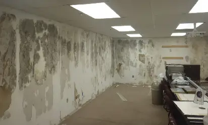 Commercial Lead & Mold Remediation