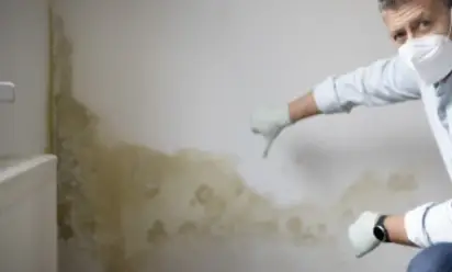 Residential Lead & Mold Remediation Services