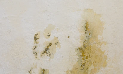 Water Damage Repair